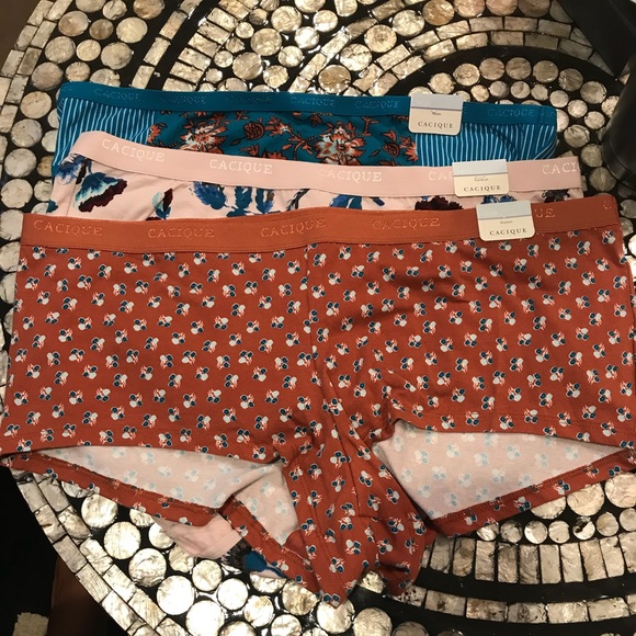 Lane Bryant Other - 3 pair NWTs 14/16 Cacique Lane Bryant Panties
